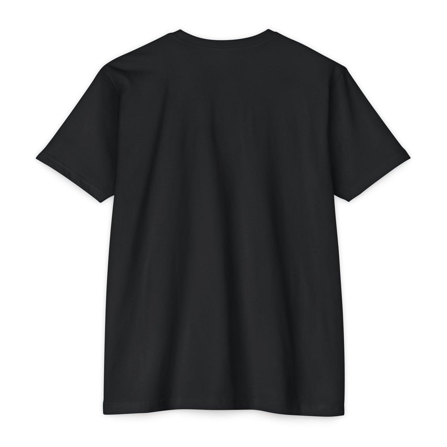 Black BSG Standard T (Unisex)